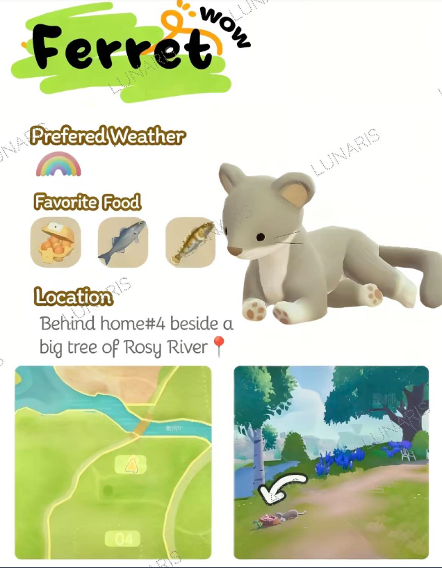 ���Ķ�С��ȫ����ʳ�۾���λ�ý���