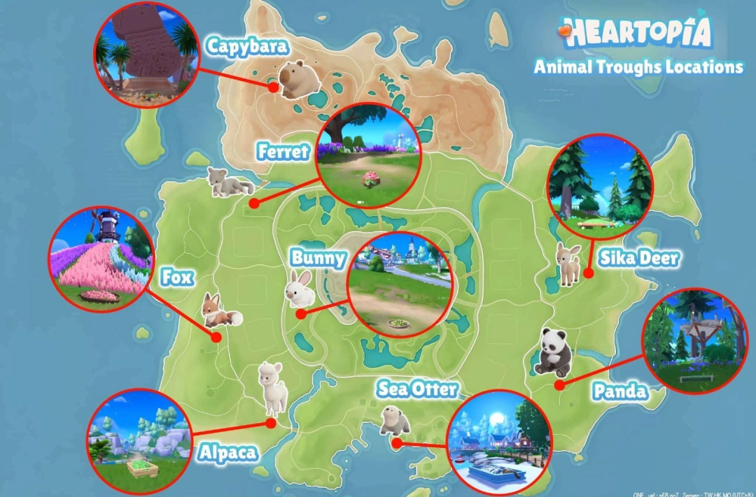 ���Ķ�С��ȫ����ʳ�۾���λ�ý���