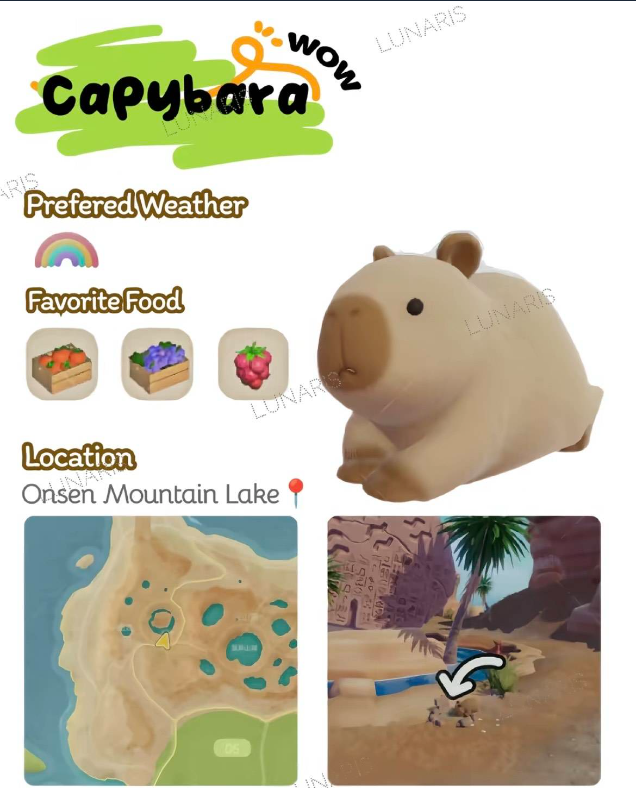 ���Ķ�С��ȫ����ʳ�۾���λ�ý���