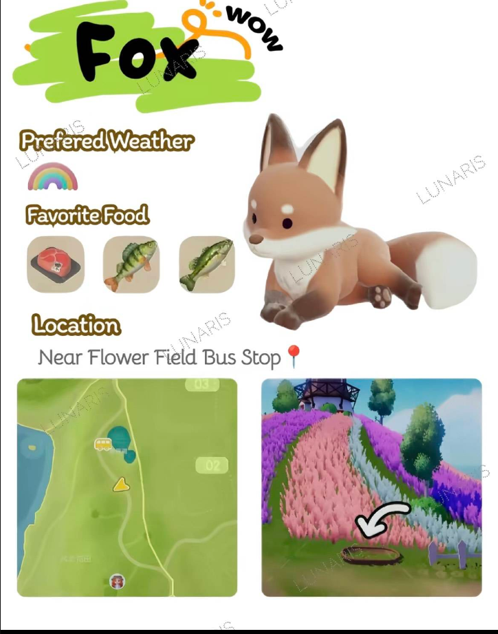 ���Ķ�С��ȫ����ʳ�۾���λ�ý���