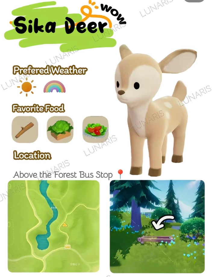 ���Ķ�С��ȫ����ʳ�۾���λ�ý���