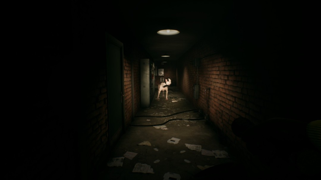 ��������ҡ������ͨ�ع��Է���