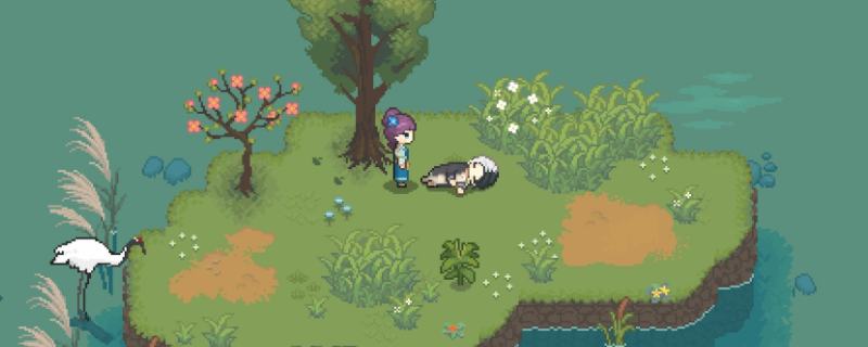 ����Դ����־������ƫ�ý���