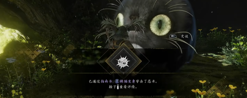 ������3��ָ���鼬è������÷�������