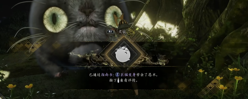 ������3��ָ�����è������÷�������