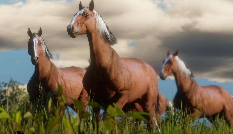 《荒野大镖客2》马匹获得方法及作用一览