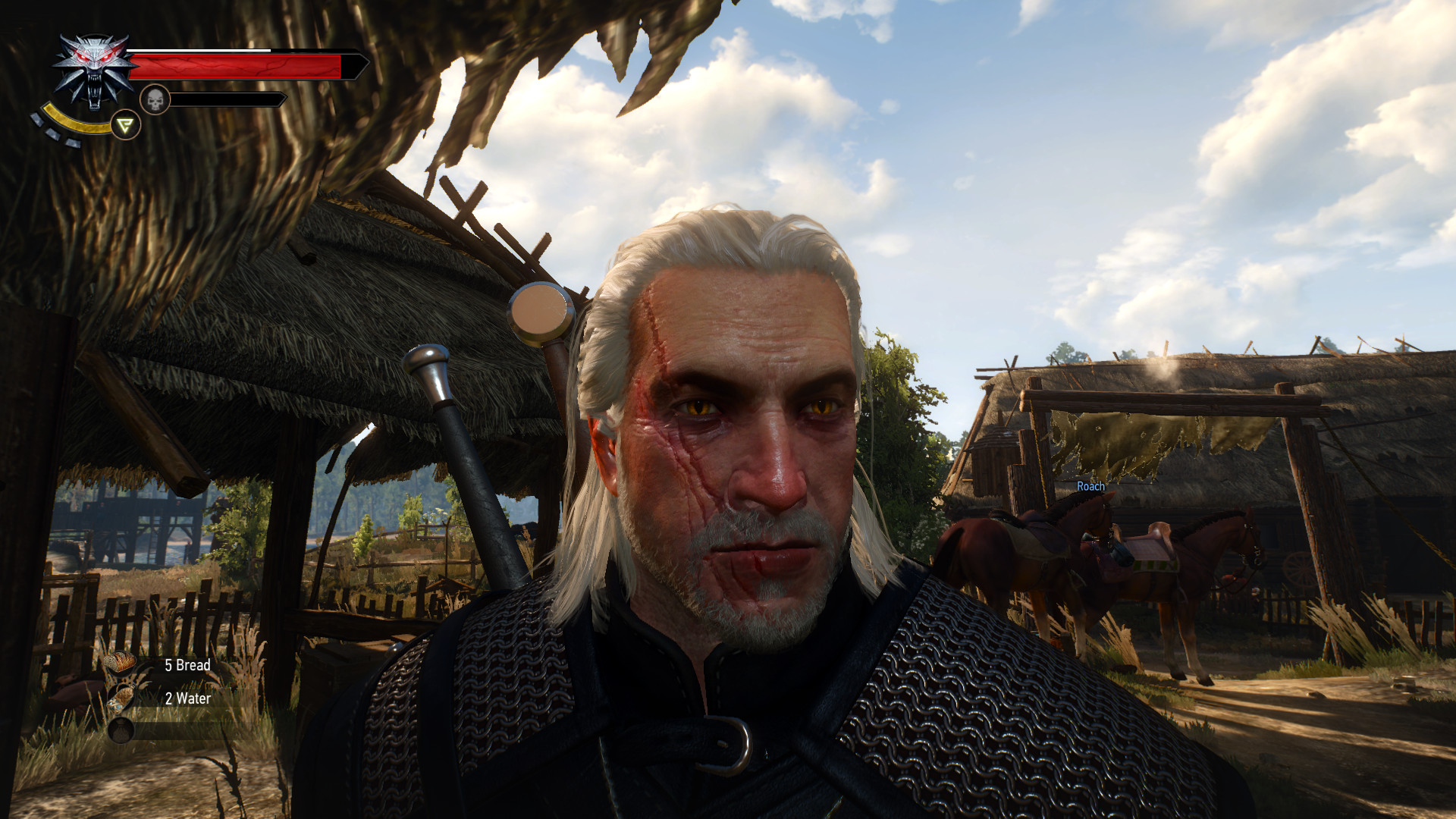 The witcher 3 geralt face фото 76