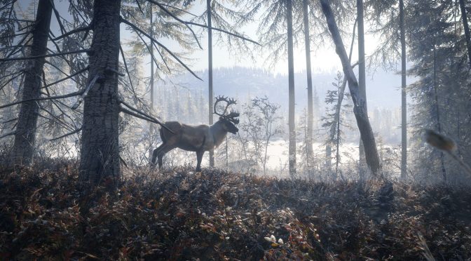 THQ Nordic《猎人：荒原的吸唤》2019版上岸Steam