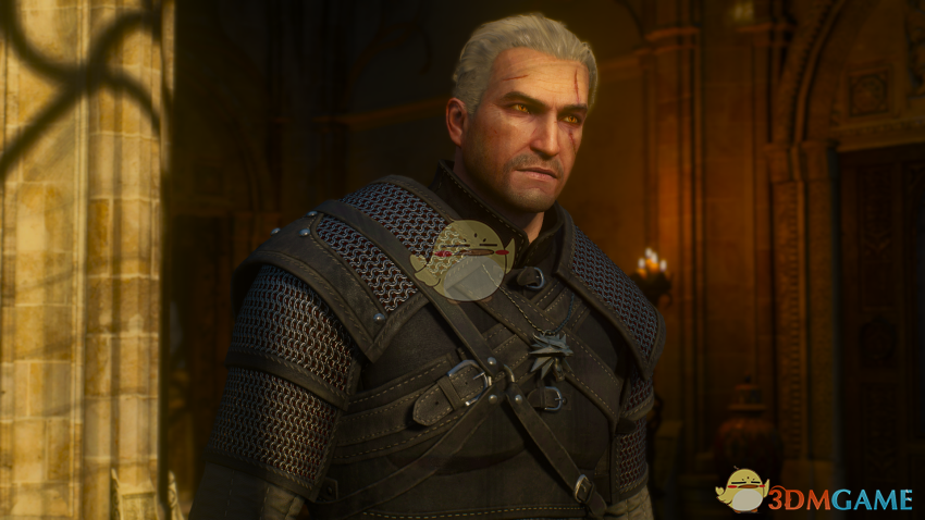 《巫师3：狂猎》狩魔猎人盔甲4K纹理MOD