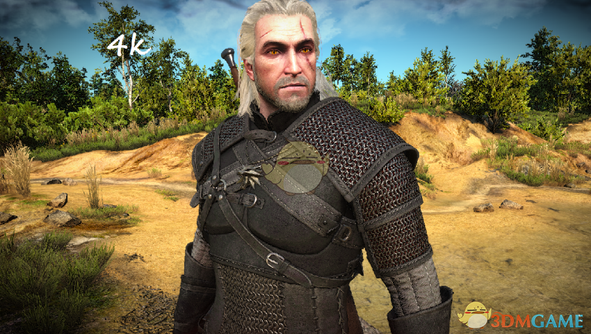 《巫师3：狂猎》狩魔猎人盔甲4K纹理MOD