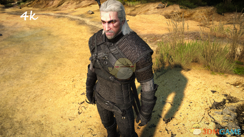 《巫师3：狂猎》狩魔猎人盔甲4K纹理MOD