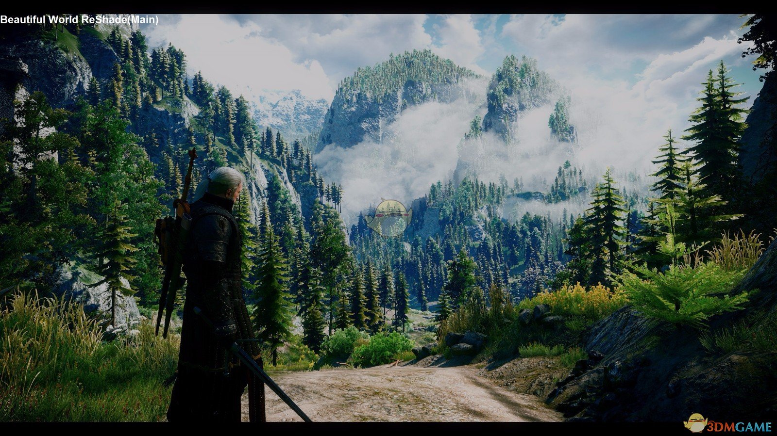 《巫师3：狂猎》电影滤镜MOD