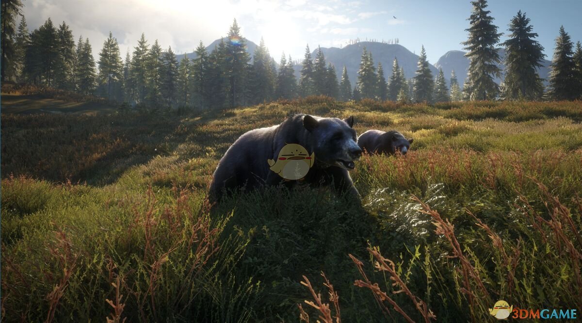 《猎人：荒野的呼唤》给熊拍照任务完成指南
