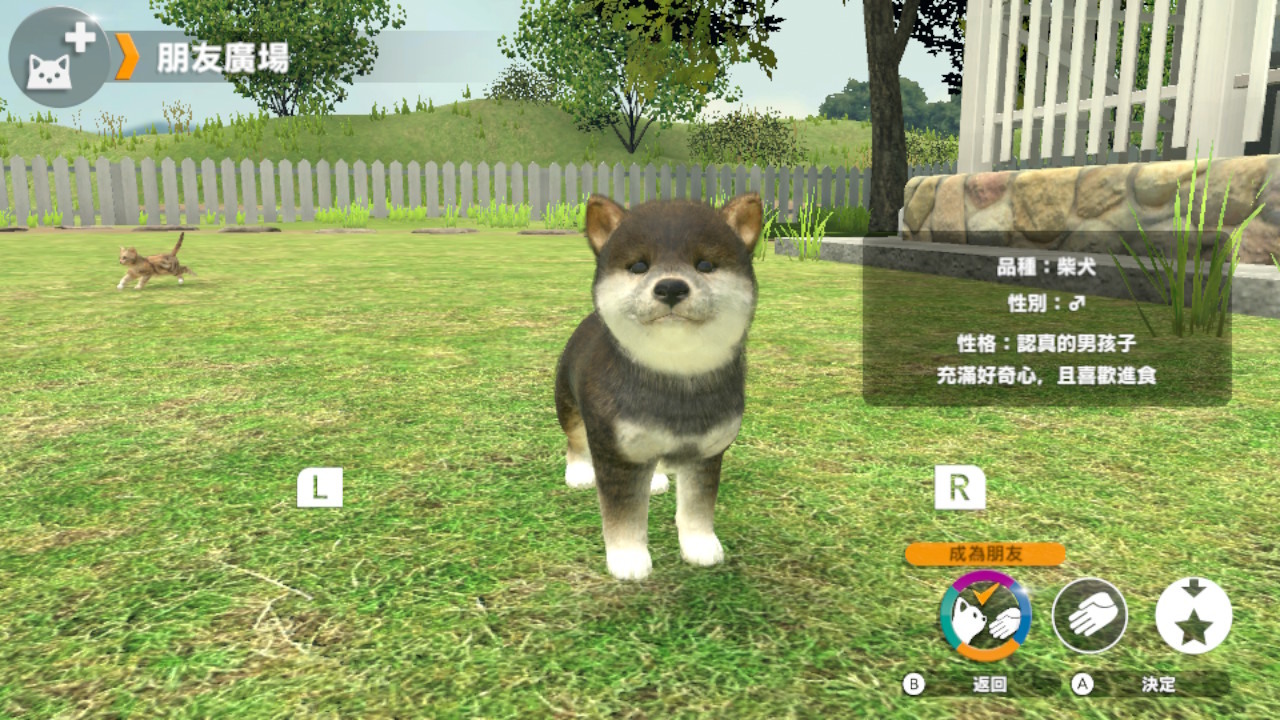 宠物模拟养成《小小伙伴：狗狗与猫猫》将推出繁体中文版
