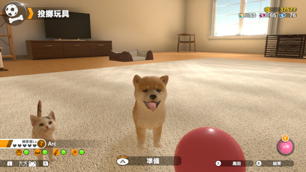 宠物模拟养成《小小伙伴：狗狗与猫猫》将推出繁体中文版