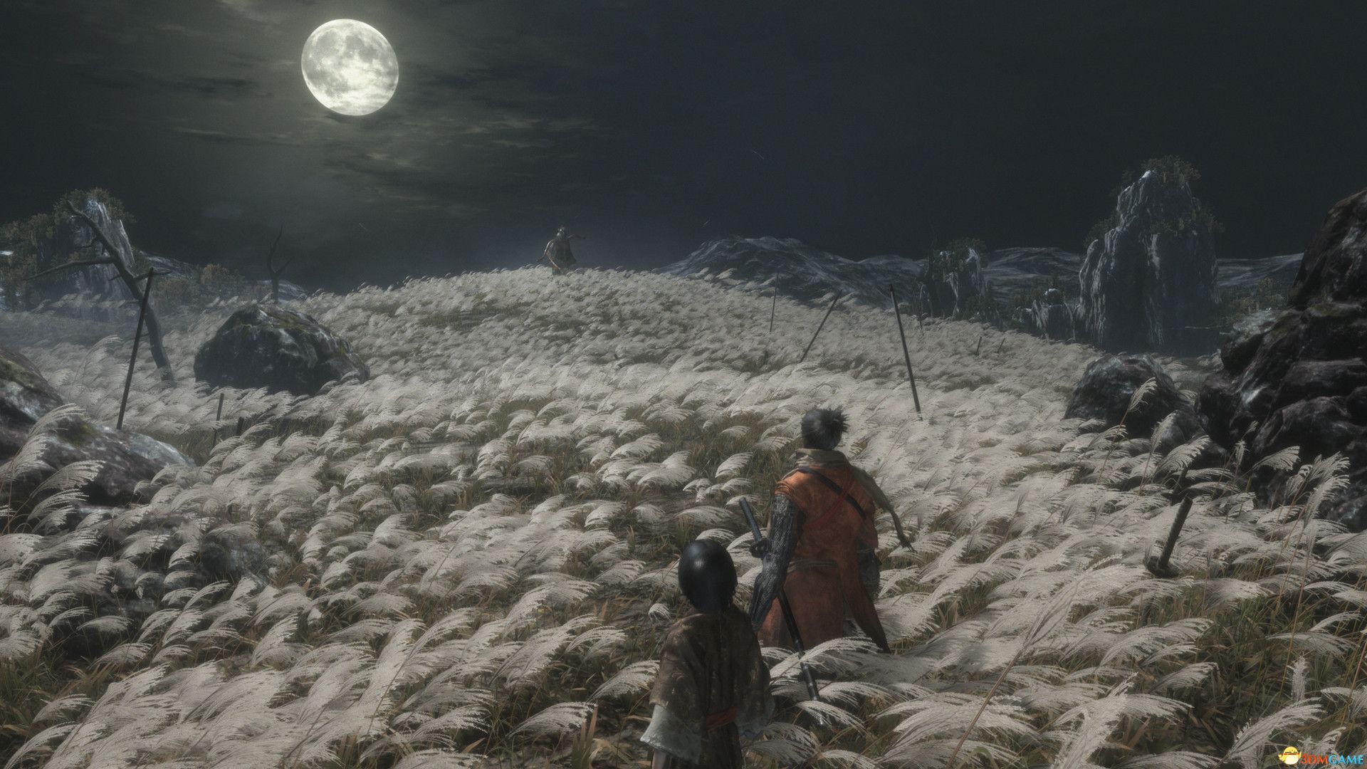 《只狼：影逝二度》官方中文版Steam正版分流下载