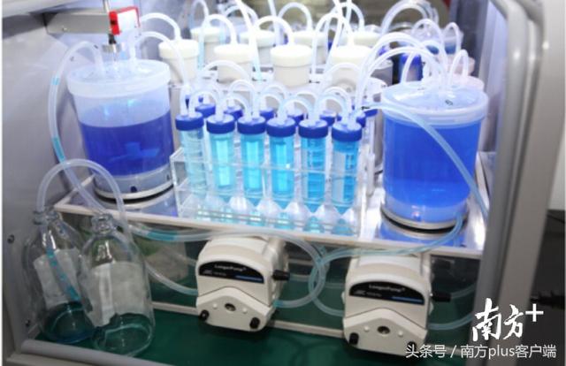 广州多所医院接受“捐屎” 每次最高500元补偿