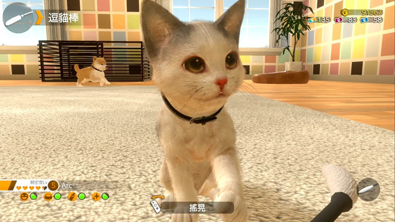 养成模拟游戏《小小伙伴：狗狗与猫猫》繁体中文版官网正式启动