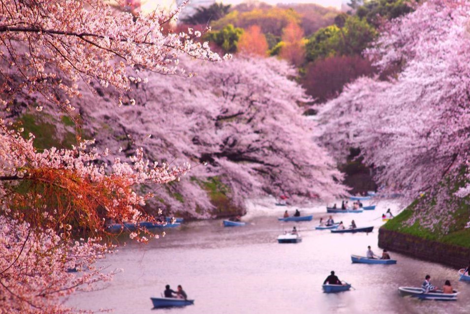 5月起 日本旅游签证可在网上申请