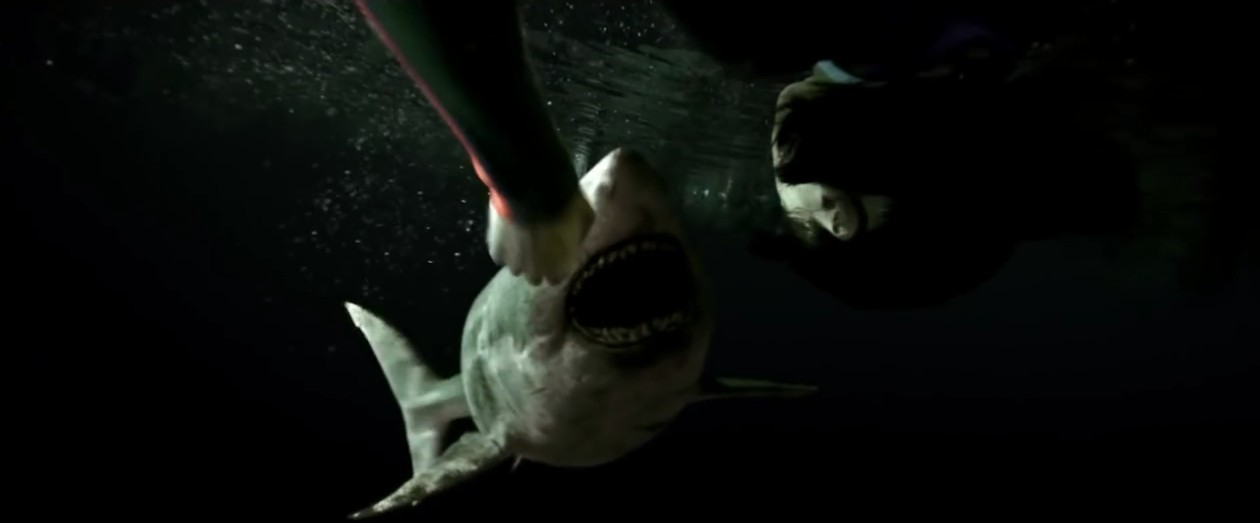 史泰龙女儿首演！恐怖片《鲨海47：猛鲨出笼》公布预告