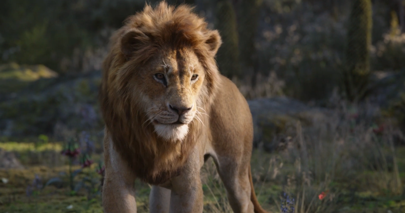 碧昂丝配音首次发声《狮子王》最新预告片公开