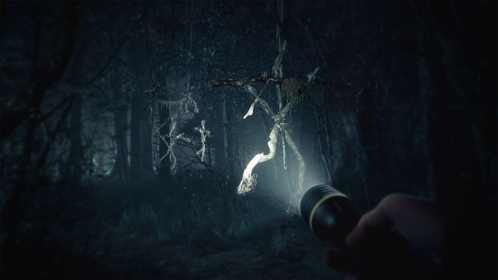 E3：恐怖新作《布莱尔女巫》公布 女巫来袭玩家吓尿