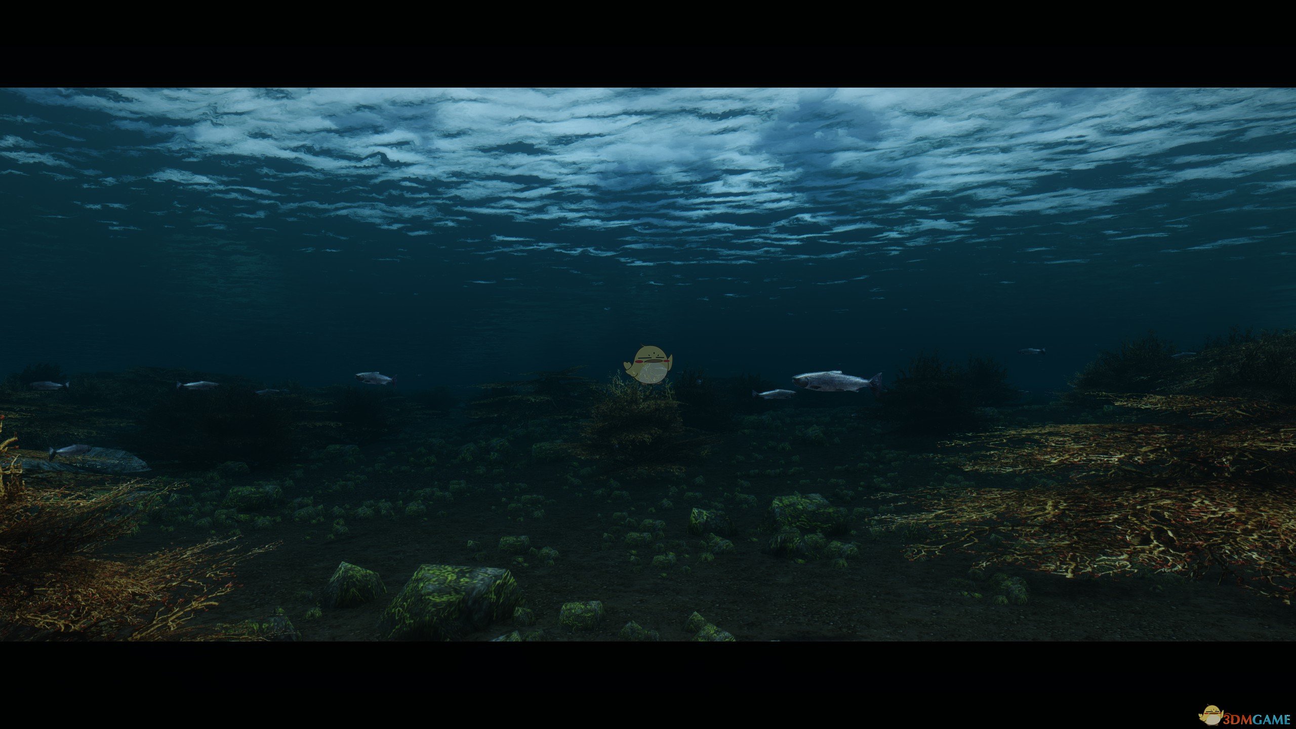 《上古卷轴5：天际》水下生态环境视觉效果大修MOD