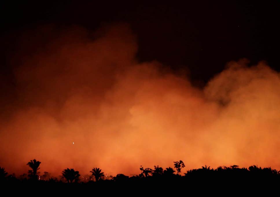 亚马逊雨林连烧3周 网友喊话亚马逊CEO贝佐斯去救火