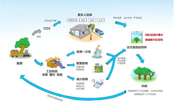 5亿中国人正在对峙“足机种树” 相称于少烧34亿降汽油