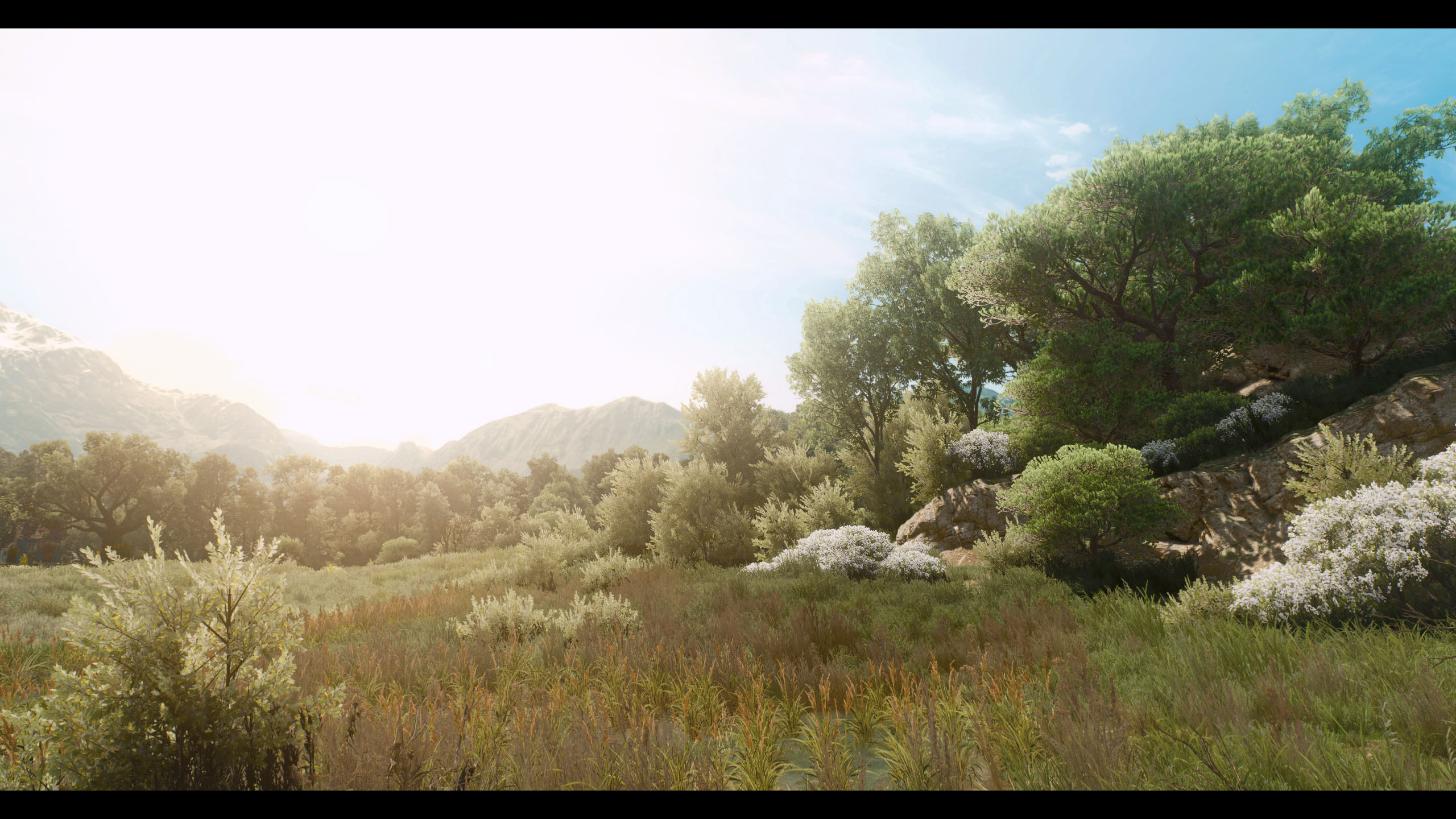 《巫师3》新光照ReShade MOD发布 效果很惊艳