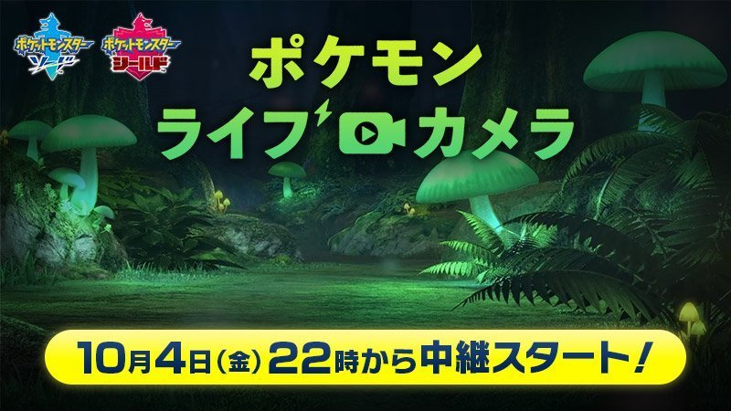 《宝可梦 剑/盾》将于10月4日早曲播 介绍奥秘丛林天区