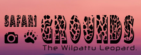 《野生动物园：威帕图豹》英文免安装版