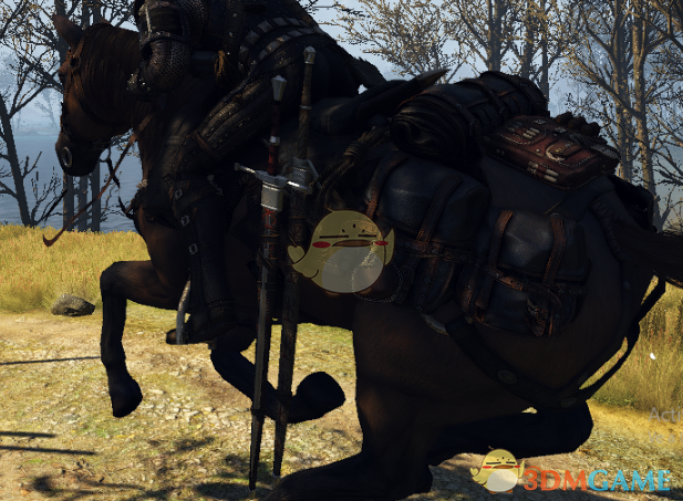  《巫师3：狂猎》可以将剑放在马背上MOD