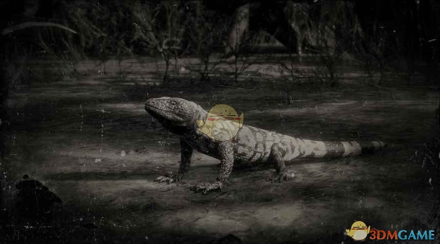 《荒野大镖客2》带纹吉拉毒蜥图鉴一览