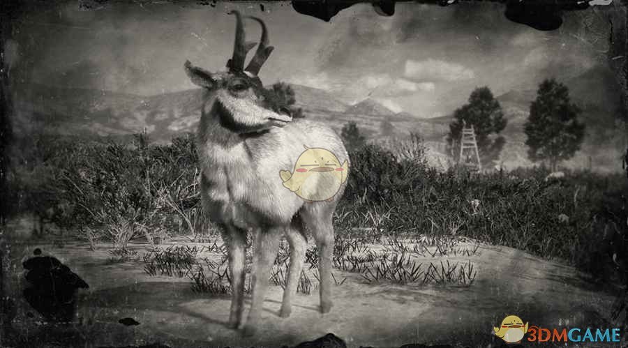 《荒野大镖客2》下加州公叉角羚图鉴一览
