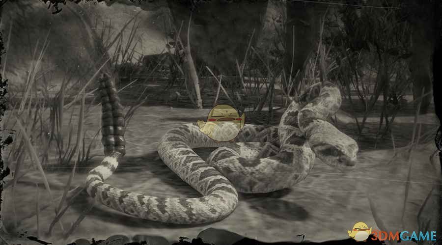 《荒野大镖客2》菱斑响尾蛇图鉴一览