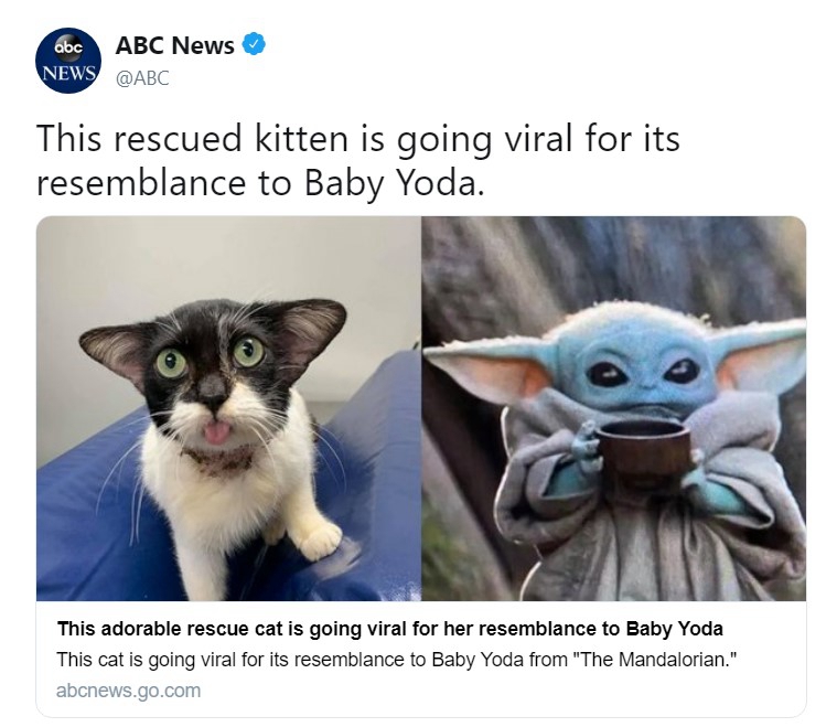 美国广播公司说尤达宝宝像只“病猫”  被网友狂喷
