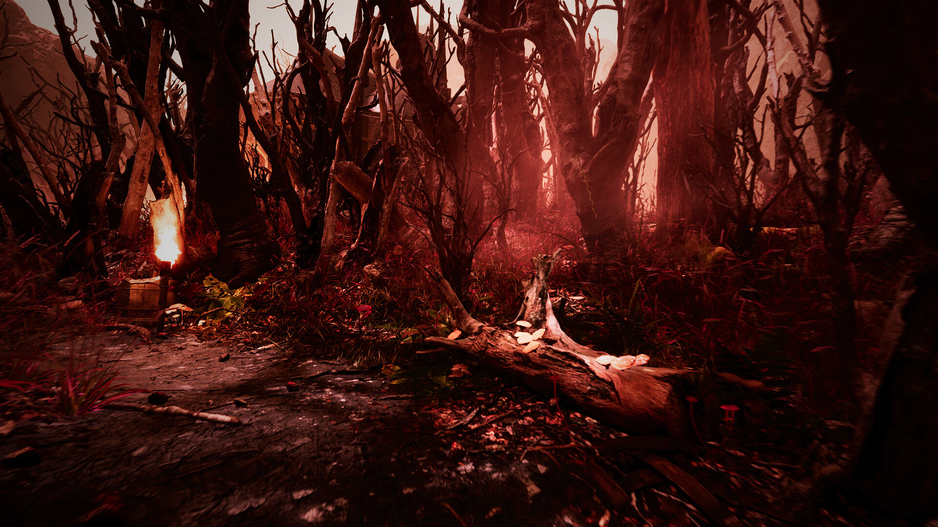 玩家自制项目用虚幻引擎4重现《神鬼寓言》名场景