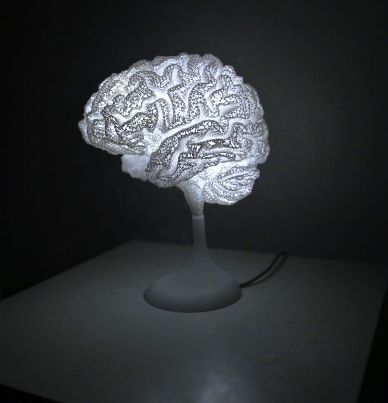 半夜起床吓一跳！网友用3D打印把“大脑”搞成了台灯