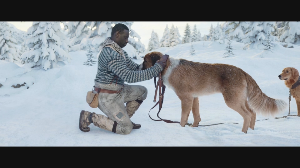 野性的呼唤新片段曝光巴克的雪橇犬生涯