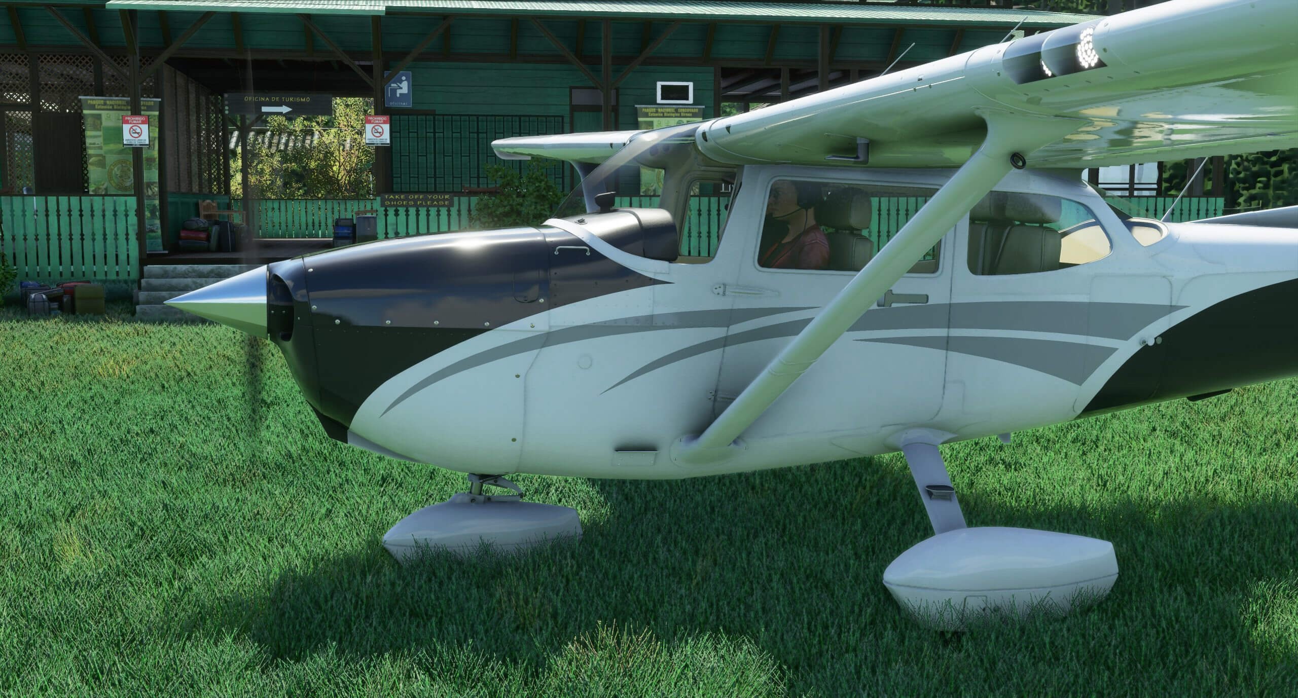 《微软飞行模拟》新截图展示高清模型与极致图形