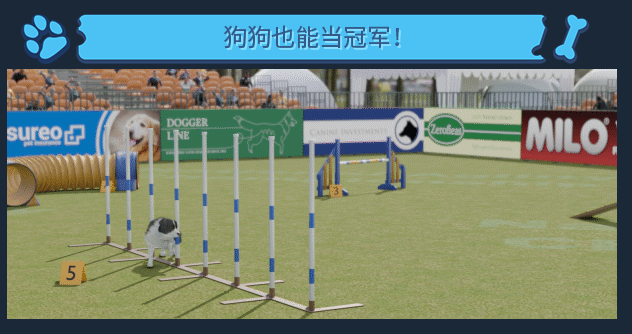 云养狗摹拟器去了？《Dog Trainer》上架Steam商乡