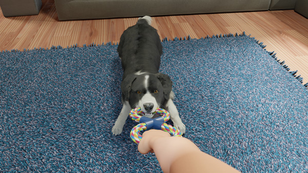 云养狗模拟器来了？《Dog Trainer》上架Steam商城