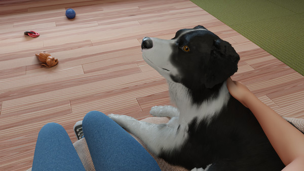 云养狗模拟器来了？《Dog Trainer》上架Steam商城