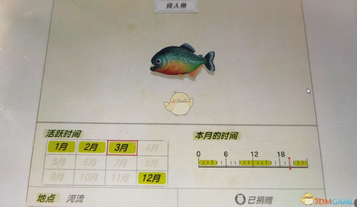 《动物森友会》河流鱼类食人鱼图鉴
