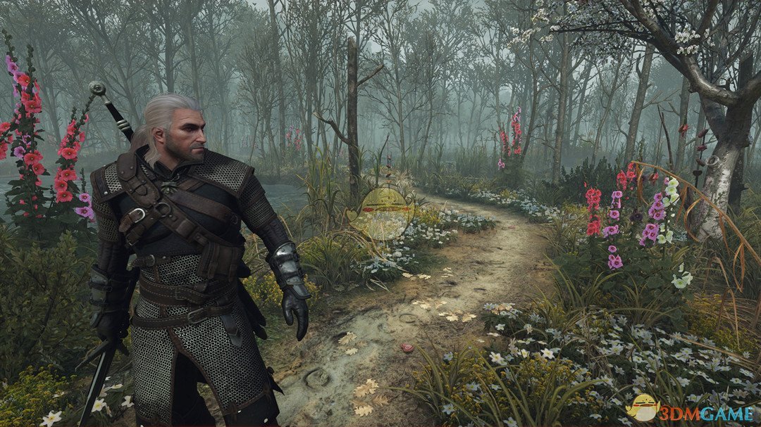 《巫师3：狂猎》阴影效果优化MOD