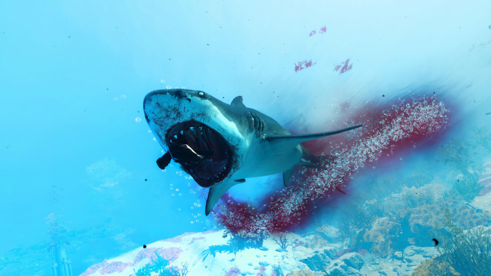 模拟游戏《食人鲨》全新截图放出 疯狂鲨鱼血腥杀戮