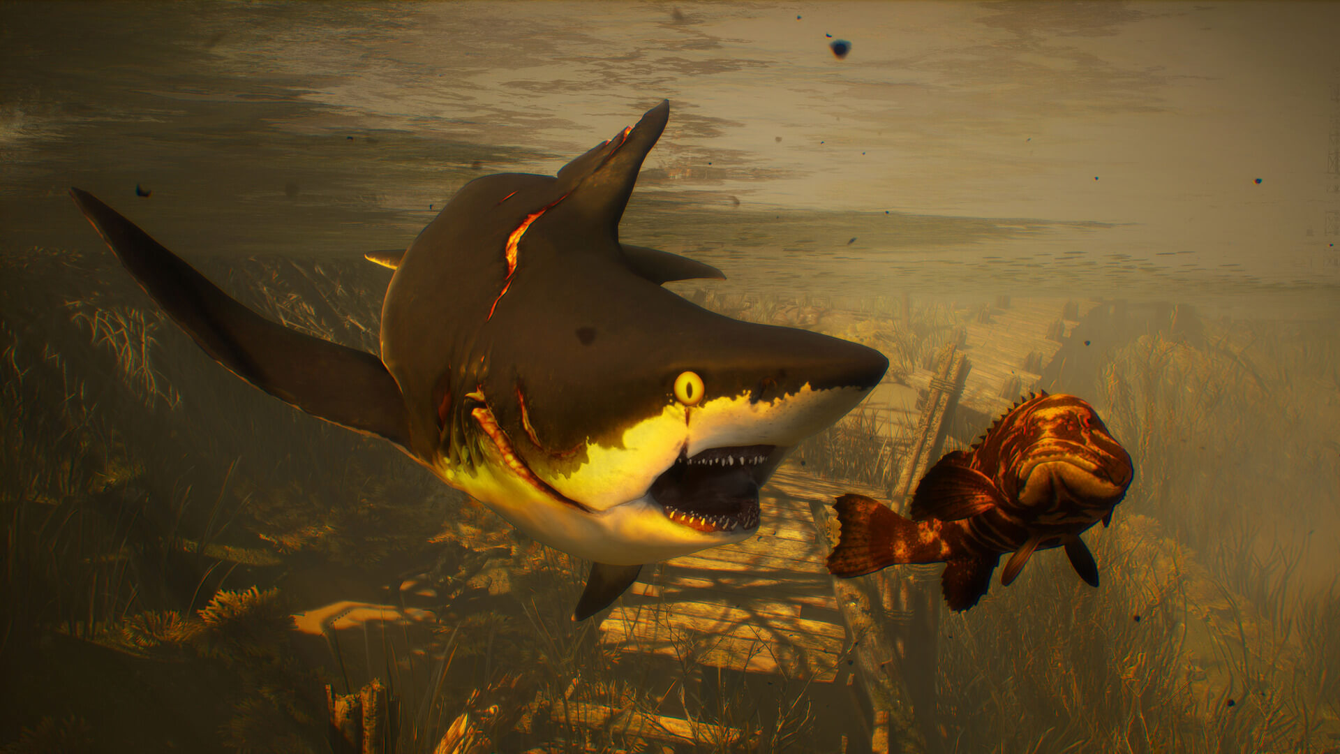 模拟游戏《食人鲨》全新截图放出 疯狂鲨鱼血腥杀戮