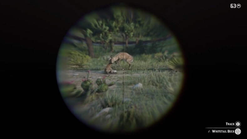 鹿角纠缠被饿死 玩家发现《荒野大镖客2》真实细节