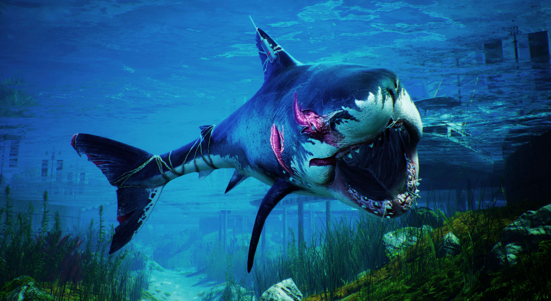 Epic商城《食人鲨》开启预购 开启疯狂捕食猎杀之旅